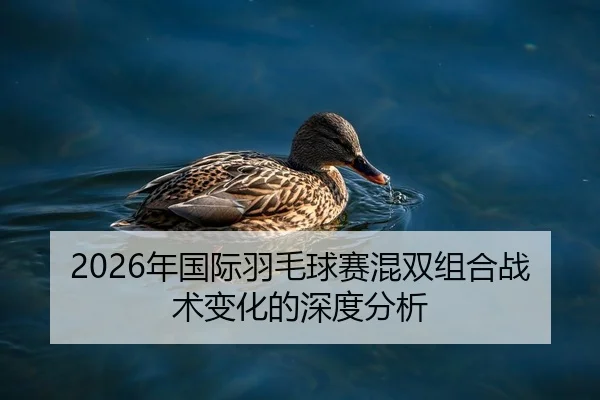 2026年国际羽毛球赛混双组合战术变化的深度分析