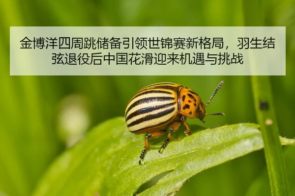 jin-bo-yang-si-zhou-tiao-chu-bei-yin-ling-shi-jin-sai-xin-ge-ju-yu-sheng-jie-xian-tui-yi-hou-zhong-guo-hua-hua-ying-lai-2-622.jpg