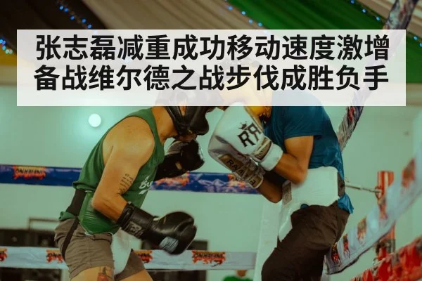 张志磊减重成功移动速度激增 备战维尔德之战步伐成胜负手